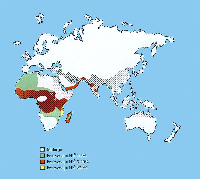 Datoteka:Malaria-map.jpg