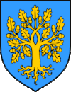 Službeni grb Malinska-Dubašnica