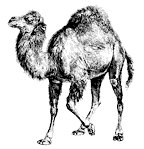 Файл:Perl logo.png