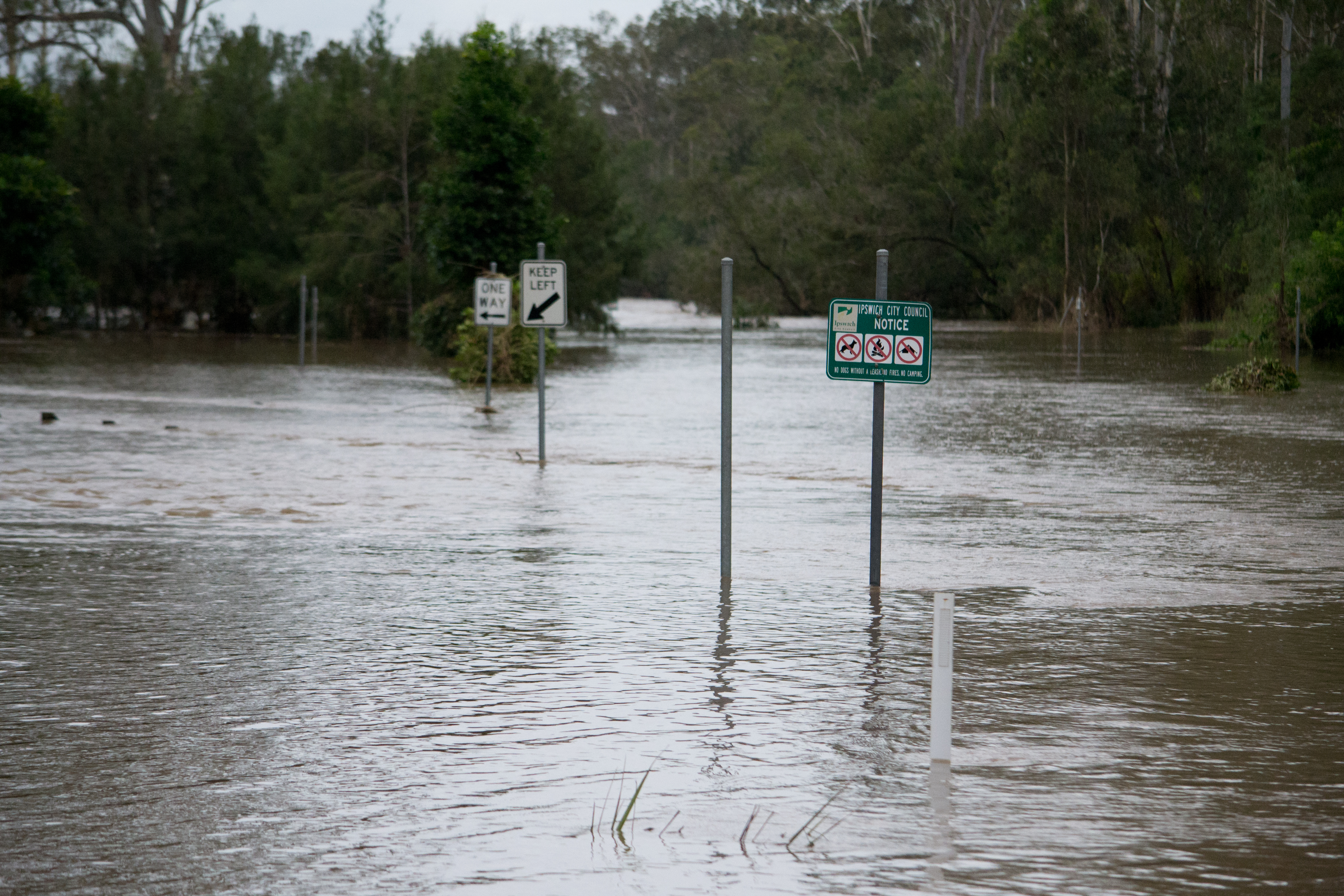 colleges crossing flood