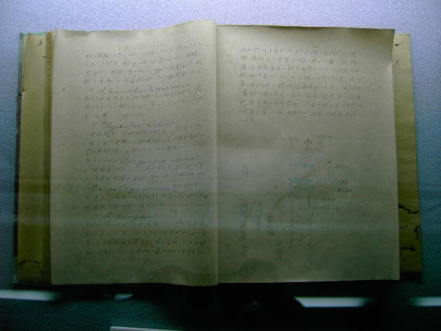 File:Lu Xun script.JPG