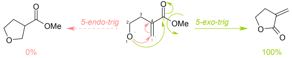 Réaction du 4-hydroxy-2-méthylènebutanoate de méthyle selon les règles de Baldwin