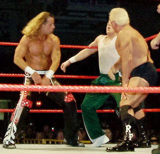 File:HBK-and-Flair-backhand-chops.jpg