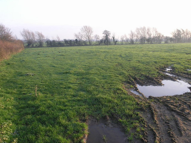 Wet Field