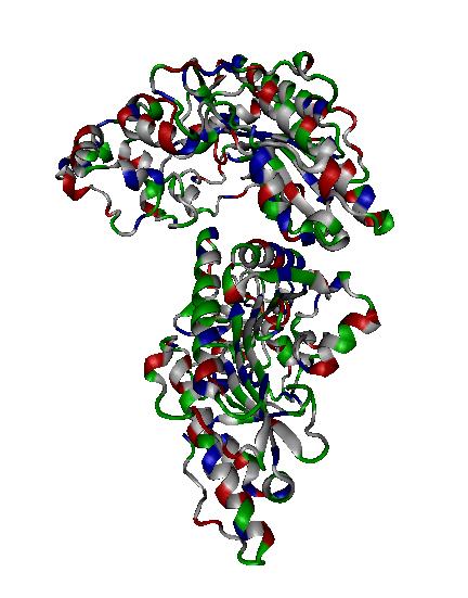 What causes high creatine kinase levels?