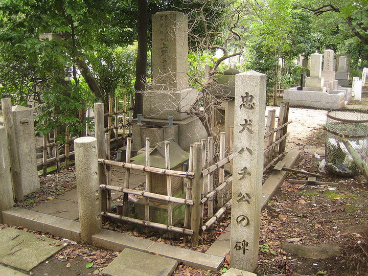 File:Hachiko's grave in the Aoyama cemetery, Minatoku, Tokyo, Japan.jpg