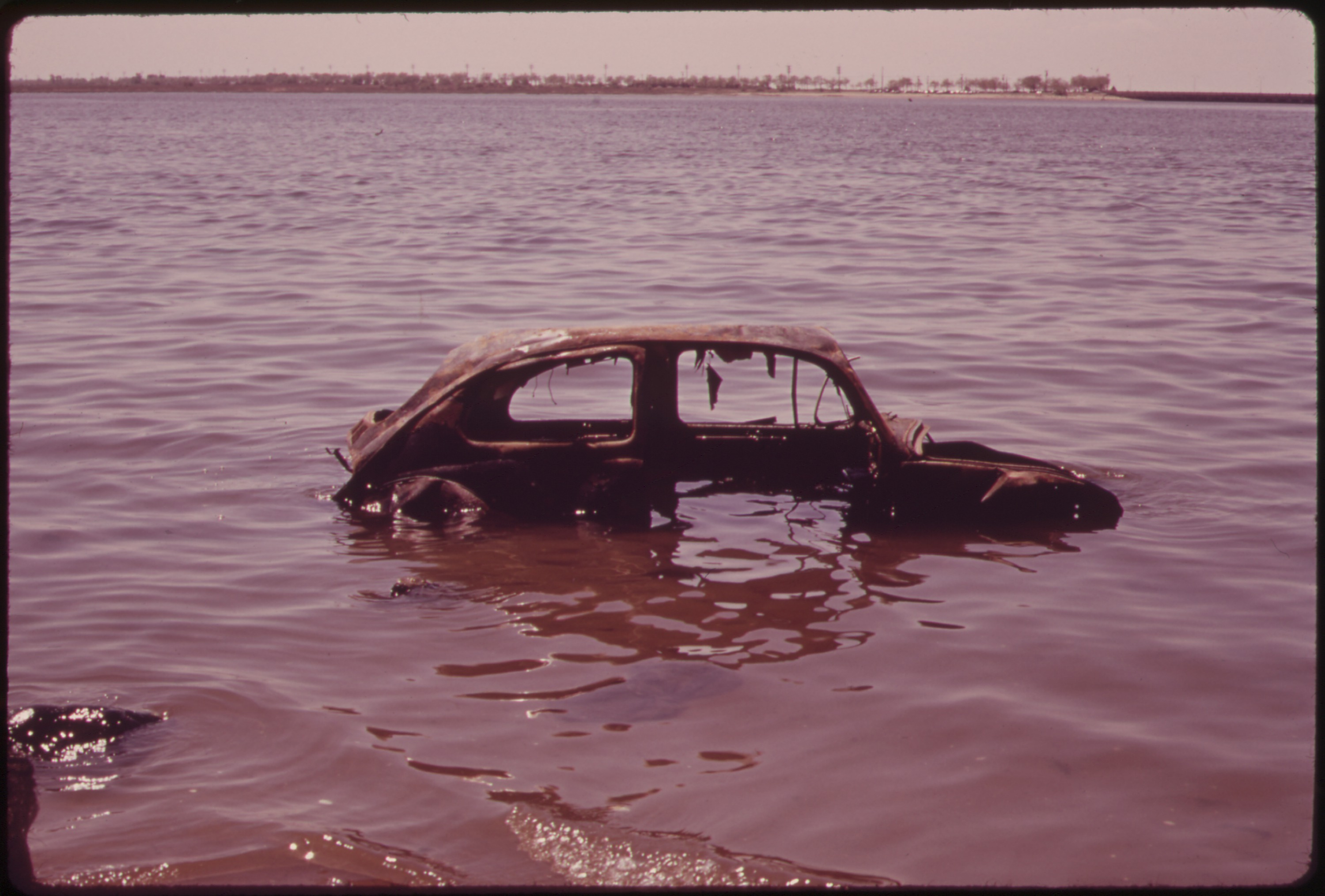 Car In Jamaica