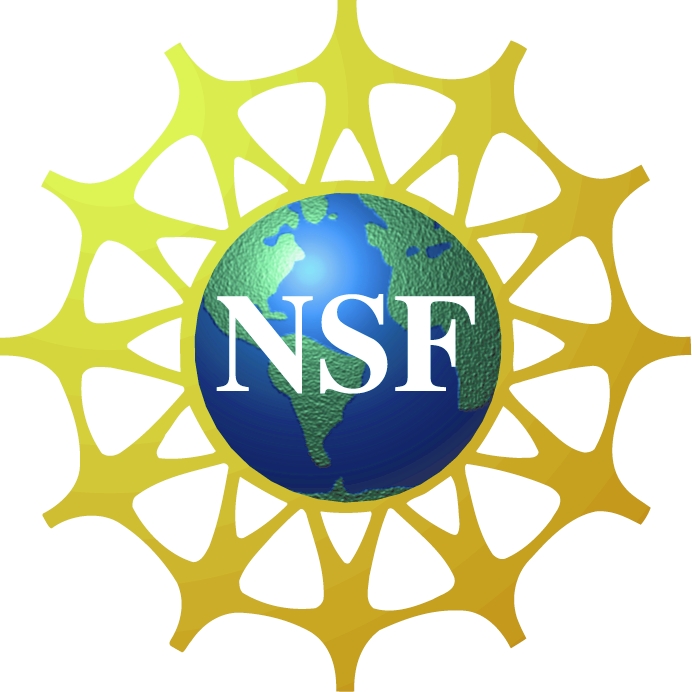 FileNSF Logojpg