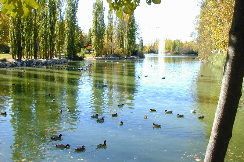 El parque El Soto