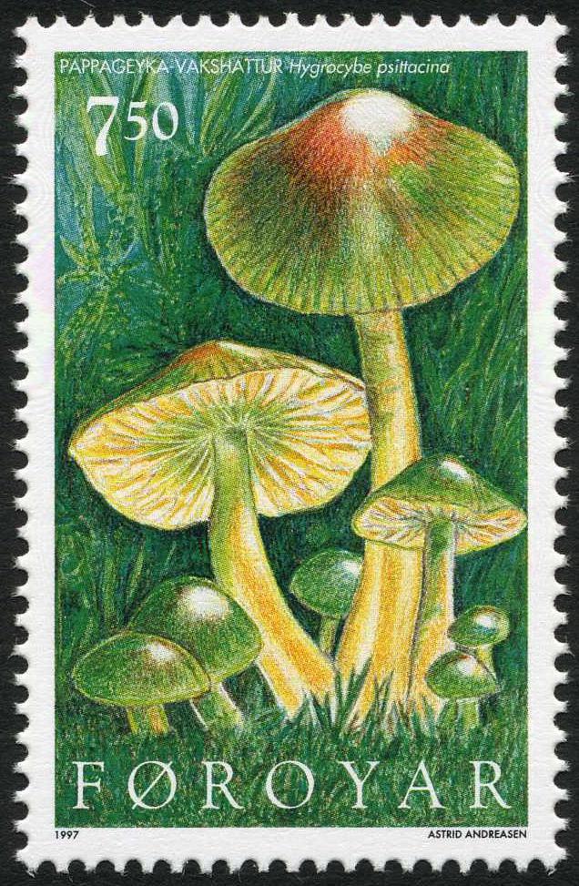 Parrot toadstools on a Faroe Islands stamp