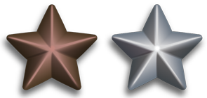 Silver_and_Bronze_Service_Stars.PNG