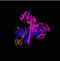 Chain A, crystal analysis structure of Clpb