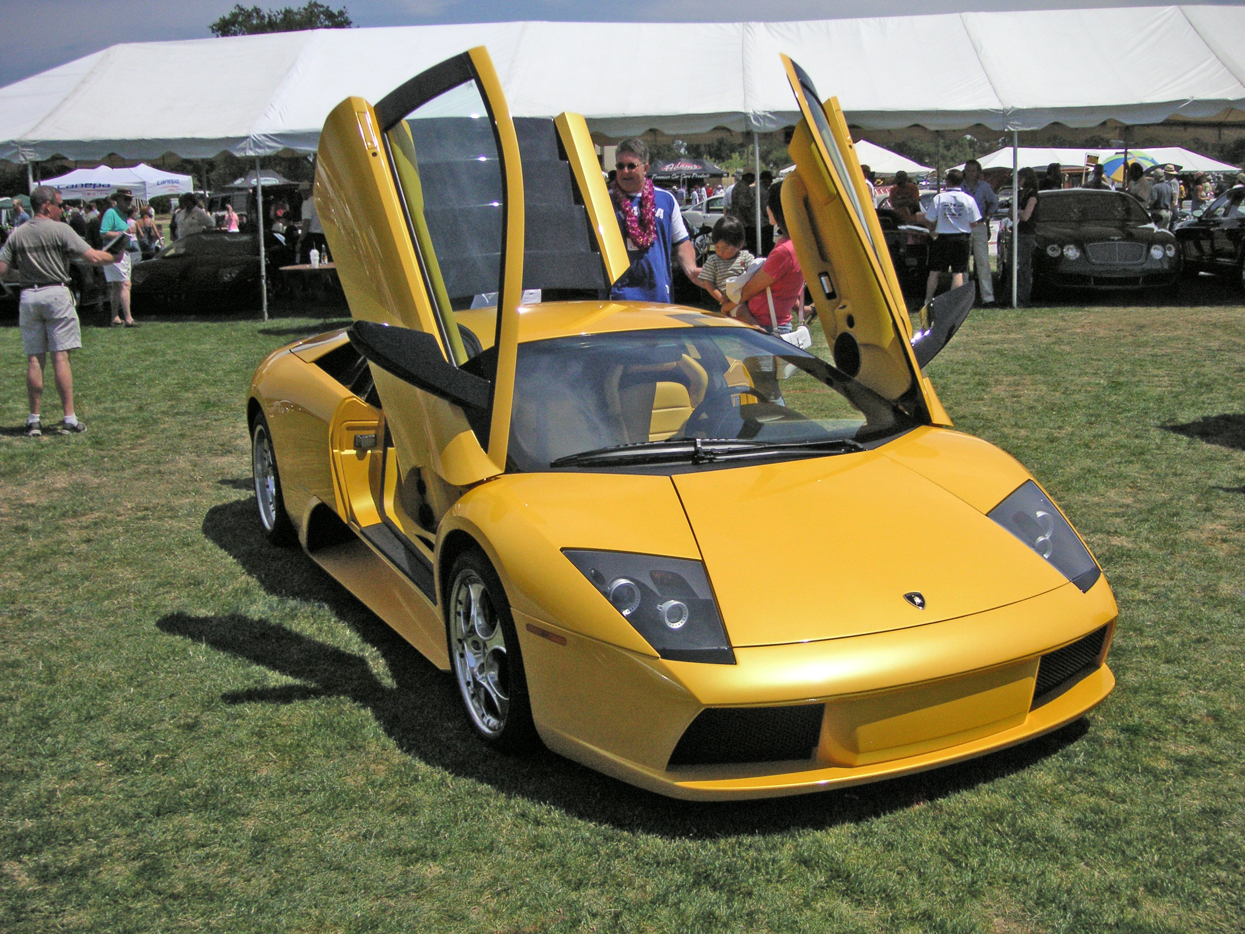 yellow murcielago