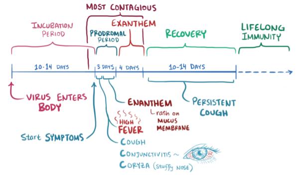 Image 9 of measles video