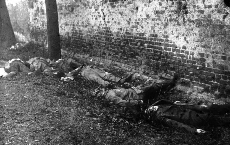 von den Freikorps-Soldaten erschossene Spartakisten