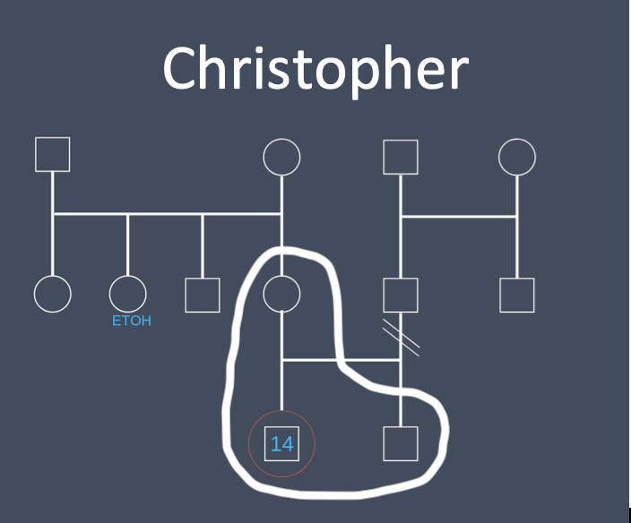 Christopher Genogram