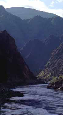 Фотография горной реки Лососевой реки вдоль реки Лосось