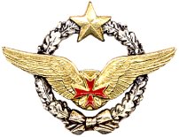 Brevet de convoyeur de l'air (CVA).