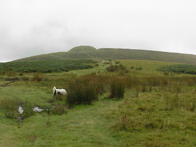 Twmbarlwm Mountain