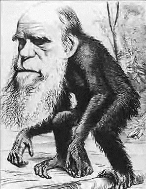 Darwin Singe