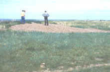 De Fort Thompson Mounds ("Terpen fan Fort Thompson").