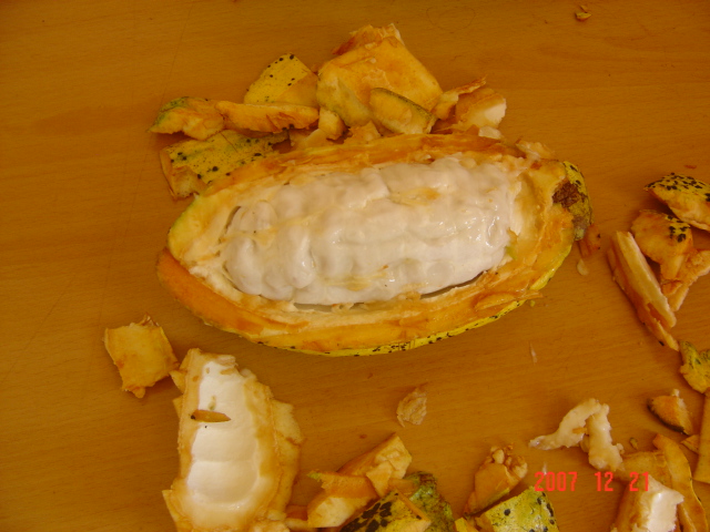 Inside a Cacao (Theobroma Cacao) fruit