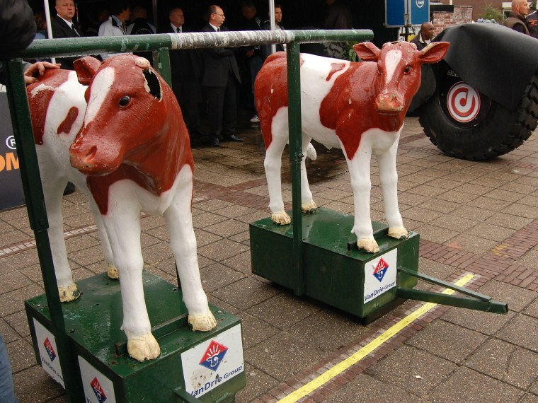 Cow Yoke