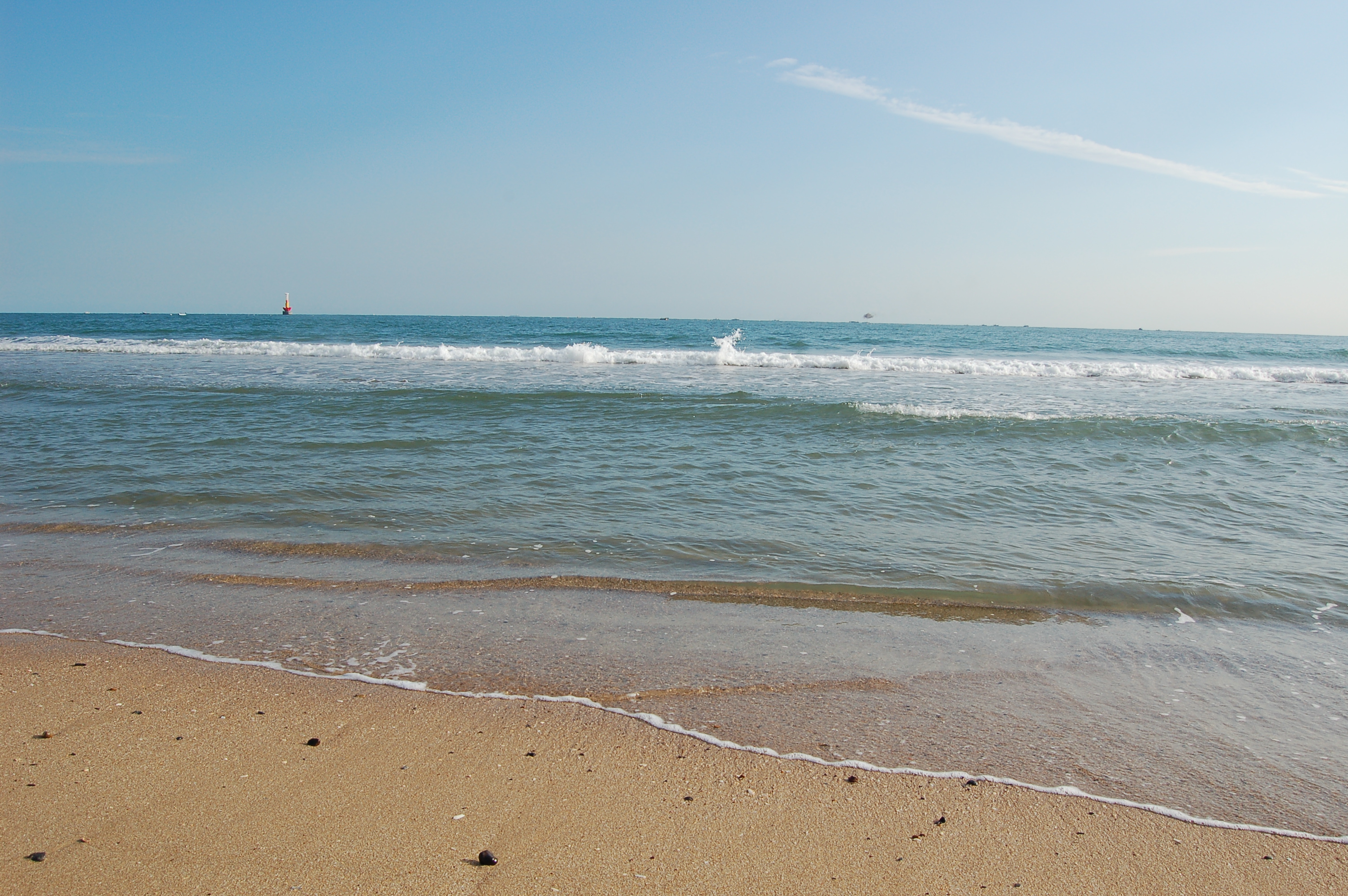 beach in korea