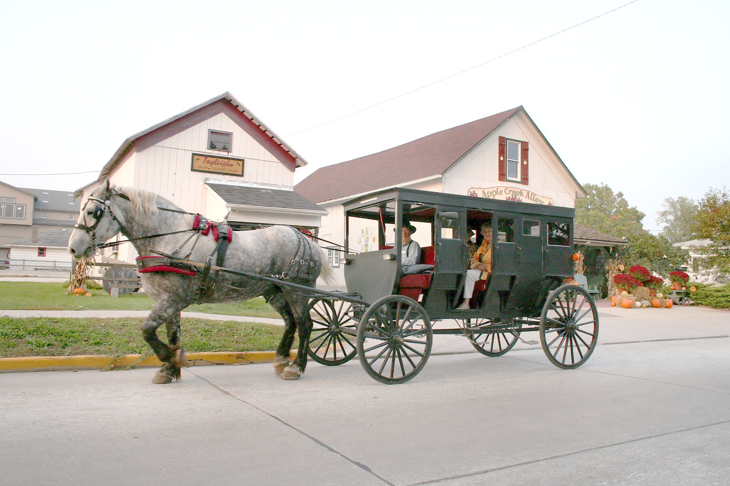 amish buggy spectacle