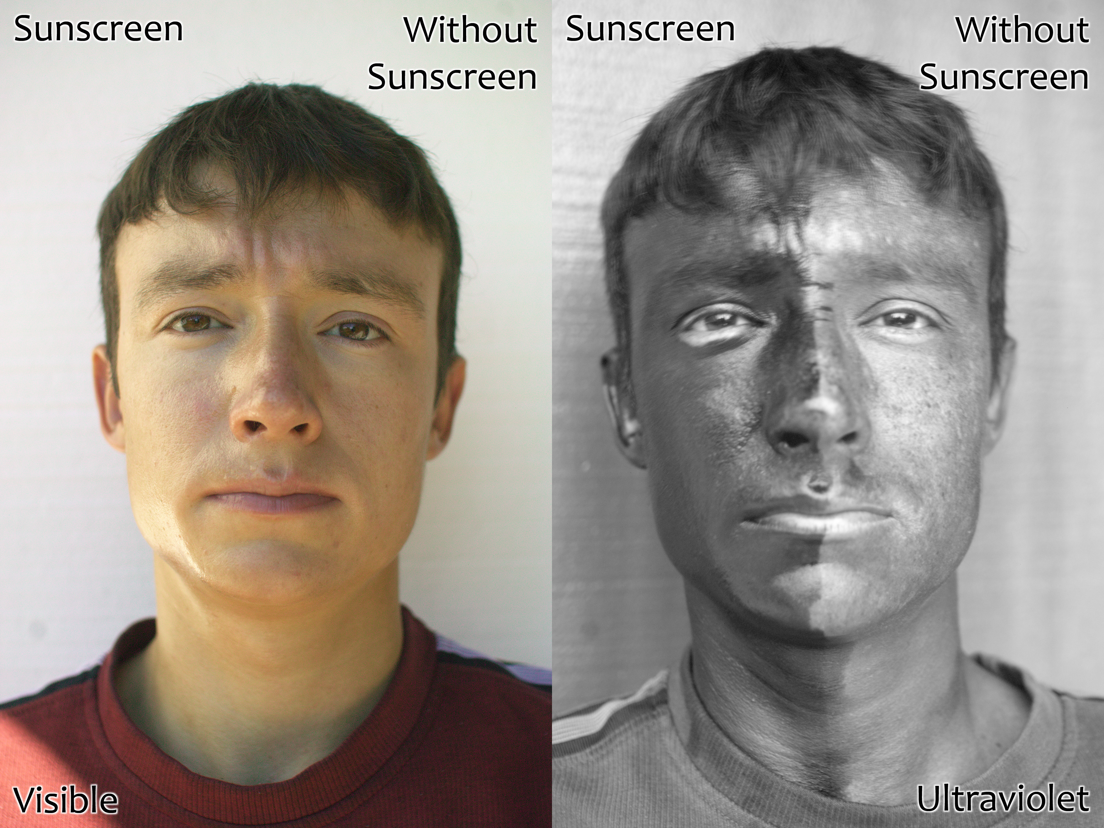 Description UV and Vis Sunscreen.jpg