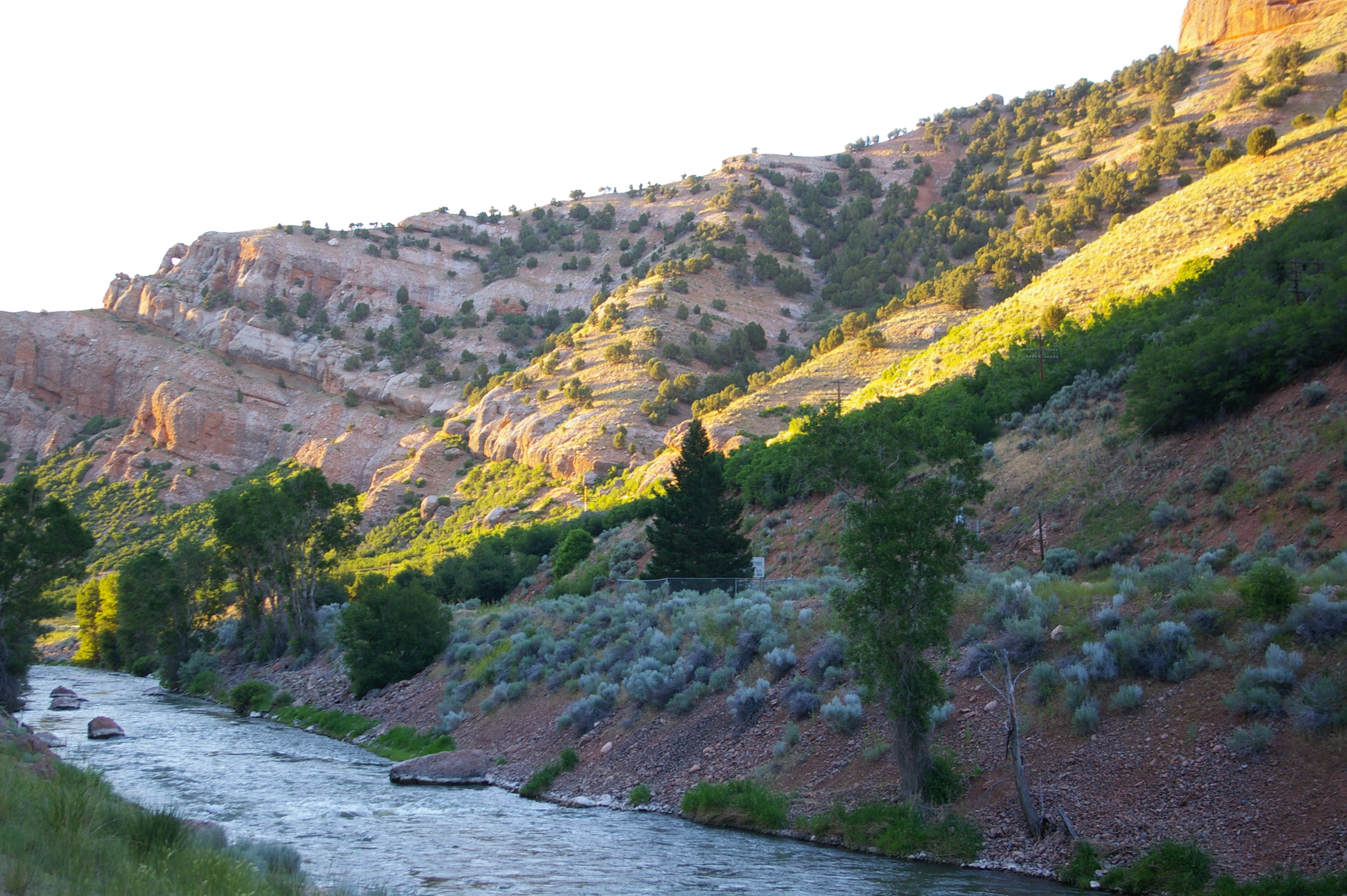 One Thousand Mile Tree, Weber Canyon [1899]