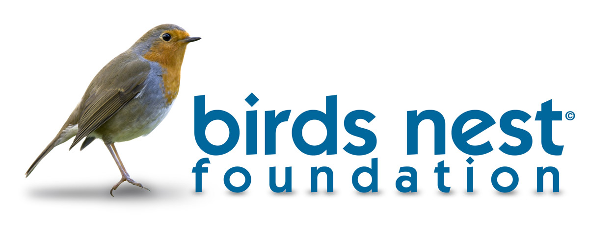 bird nest logo