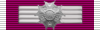 US Legion of Merit Commander rib.png