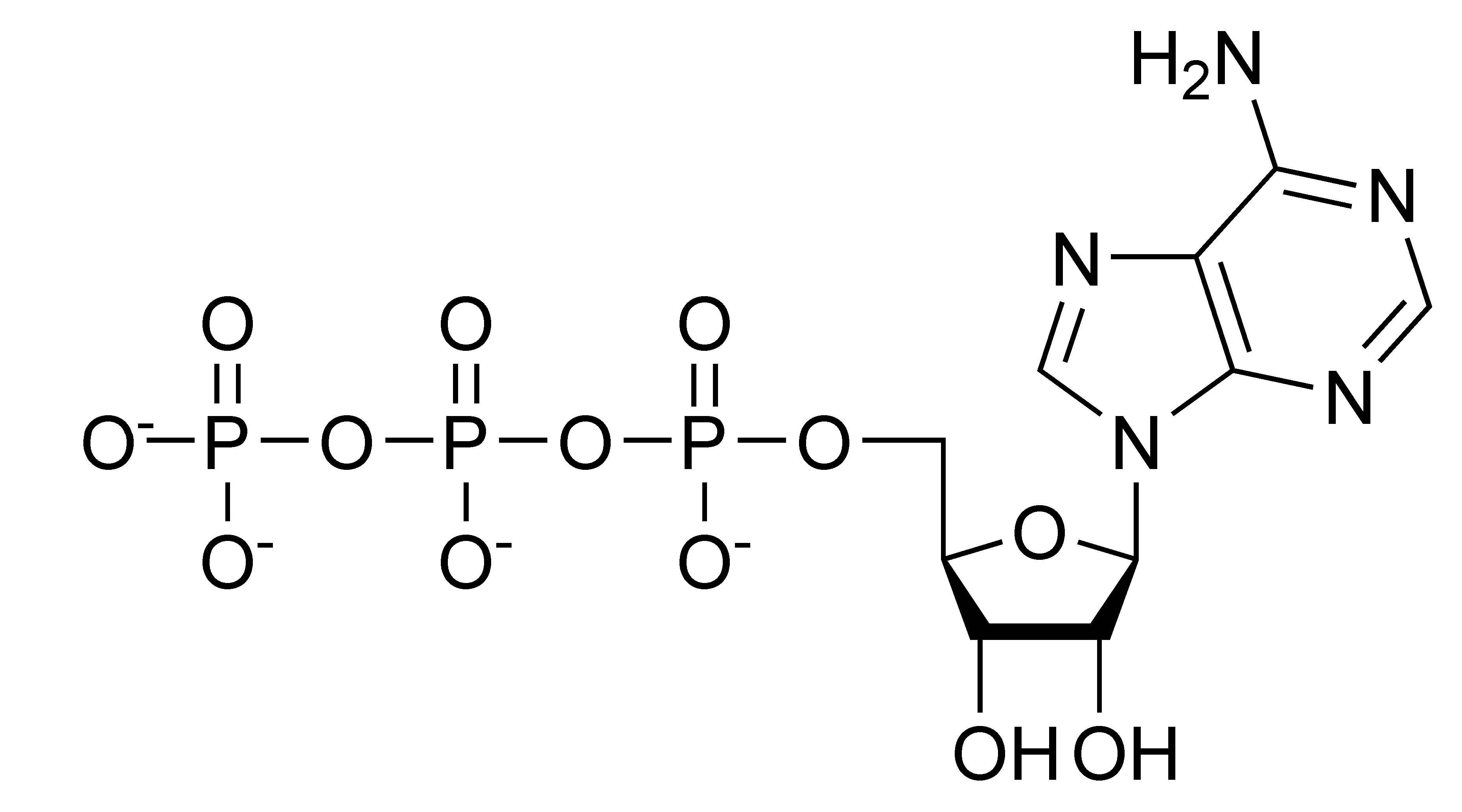 FileATP chemical structure.png Wikipedia