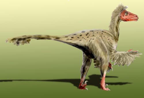 Ficheiro:Dromaeosaurus BW.jpg