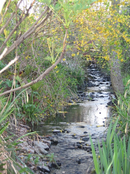 Tiny Stream