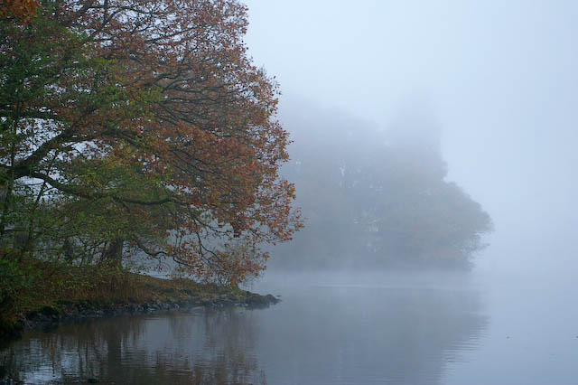 File:Bee Holme in autumn mist - geograph.org.uk - 761379.jpg
