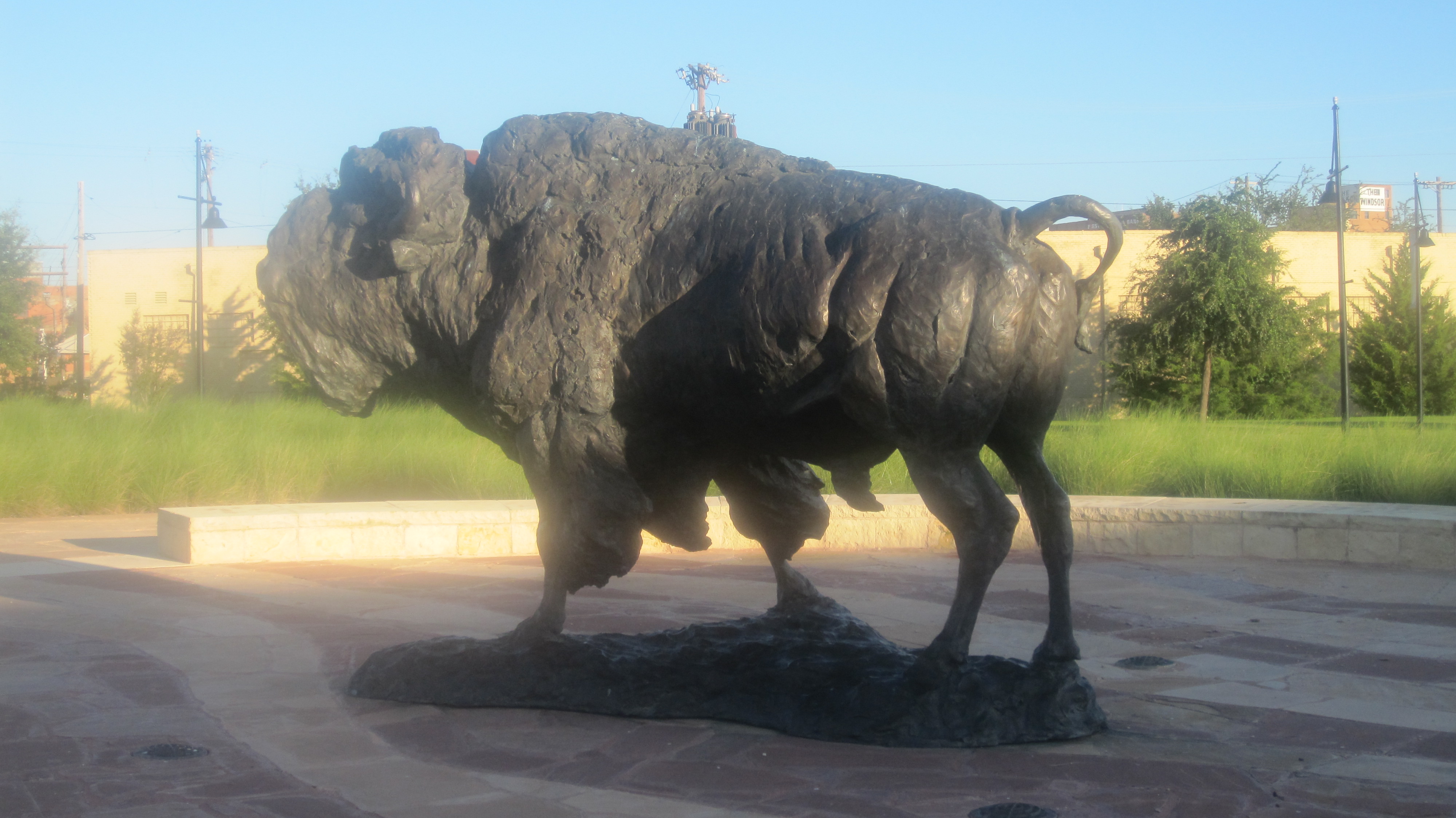 Buffalo Statue