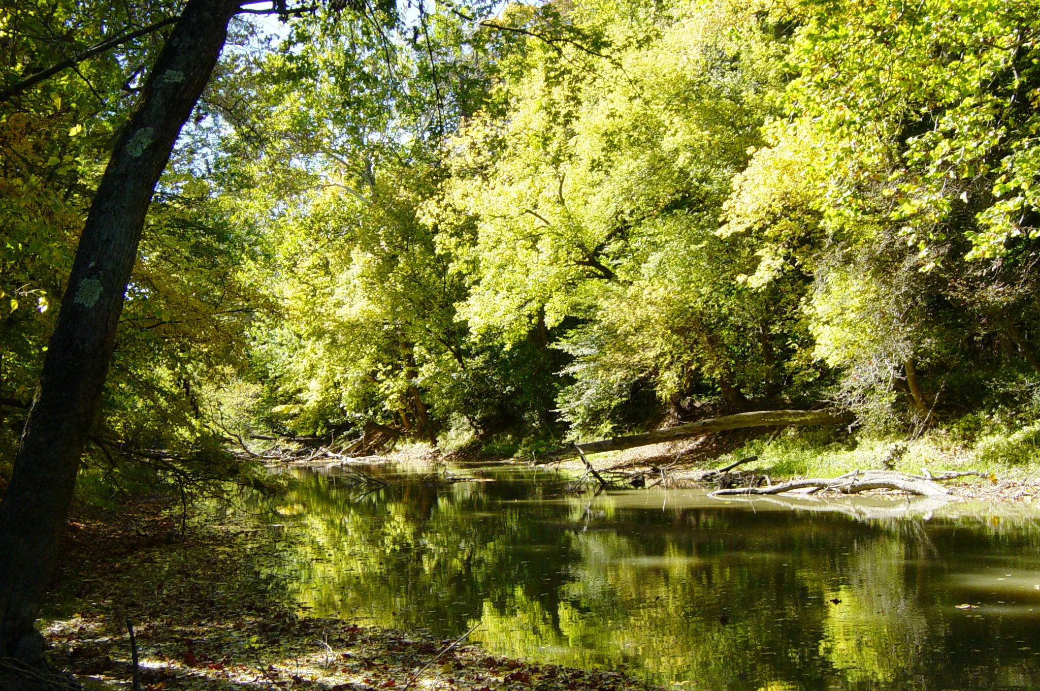 Description Tiffin River at Goll Woods State Nature Preserve in Ohio 