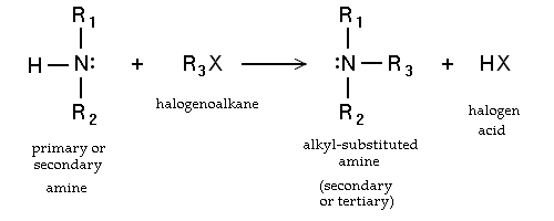 Alkylation of Amine