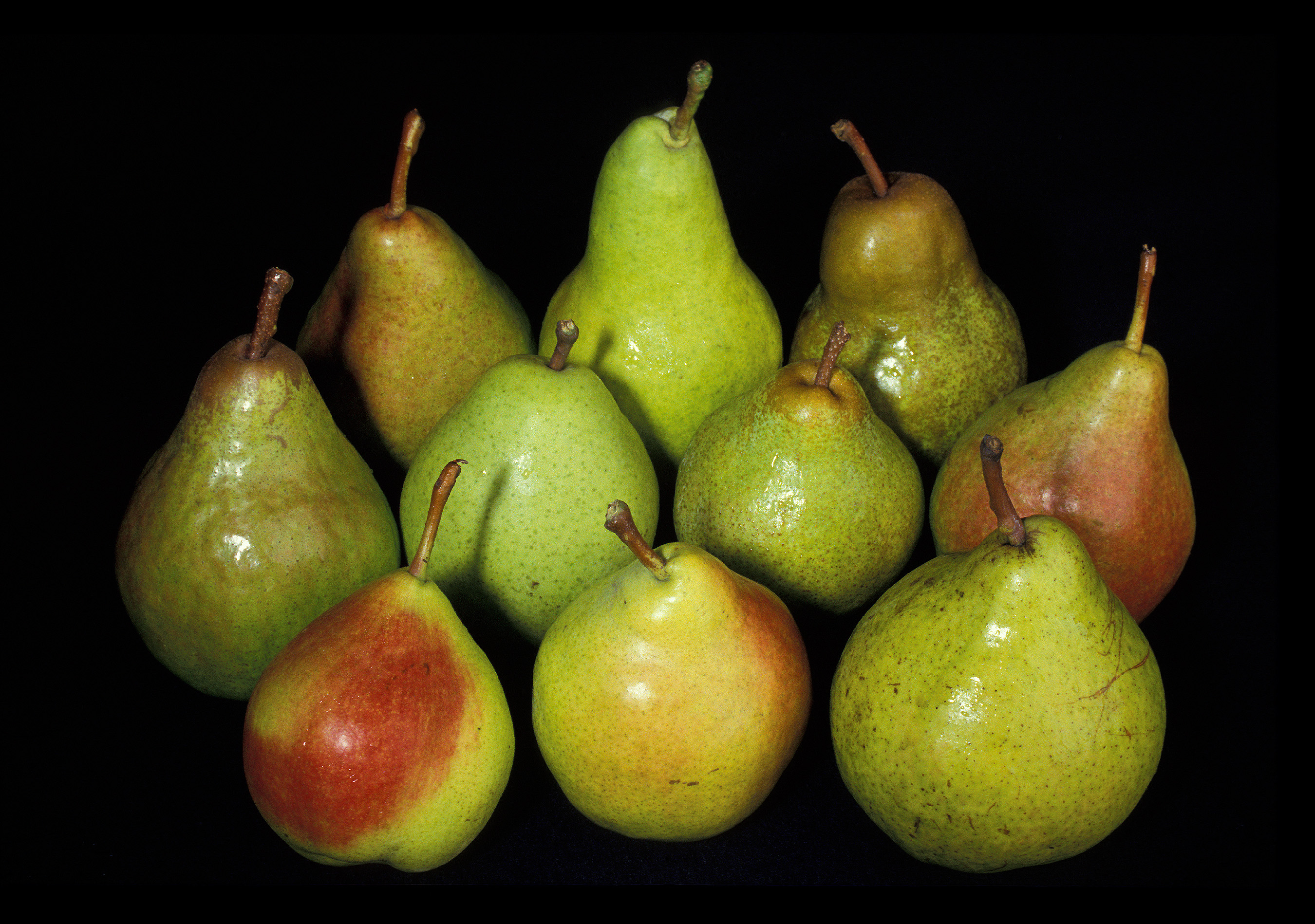 Pear