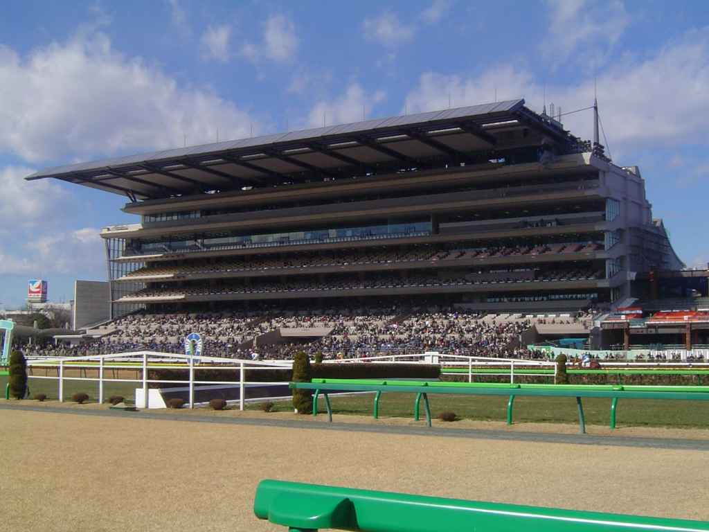 Tokyo Racecourse