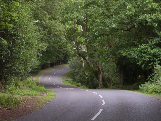 Droga obok lasu Twisty_section_of_the_Beaulieu_Road_near_Pig_Bush,_New_Forest_-_geograph.org.uk_-_35962