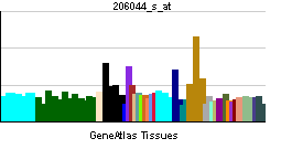 English: Gene expression pattern of the BRAF gene.