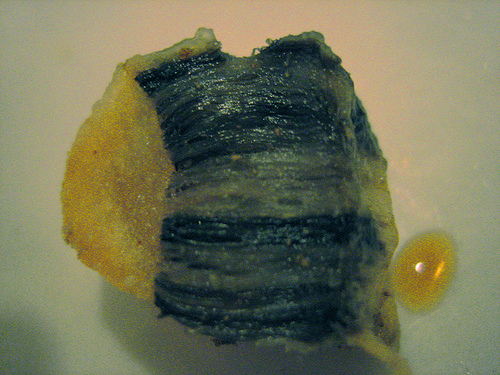 Inuit Muktuk or raw whale blubber, rich in Vitamin C.