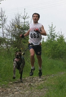 Canine Cross Country Running 
