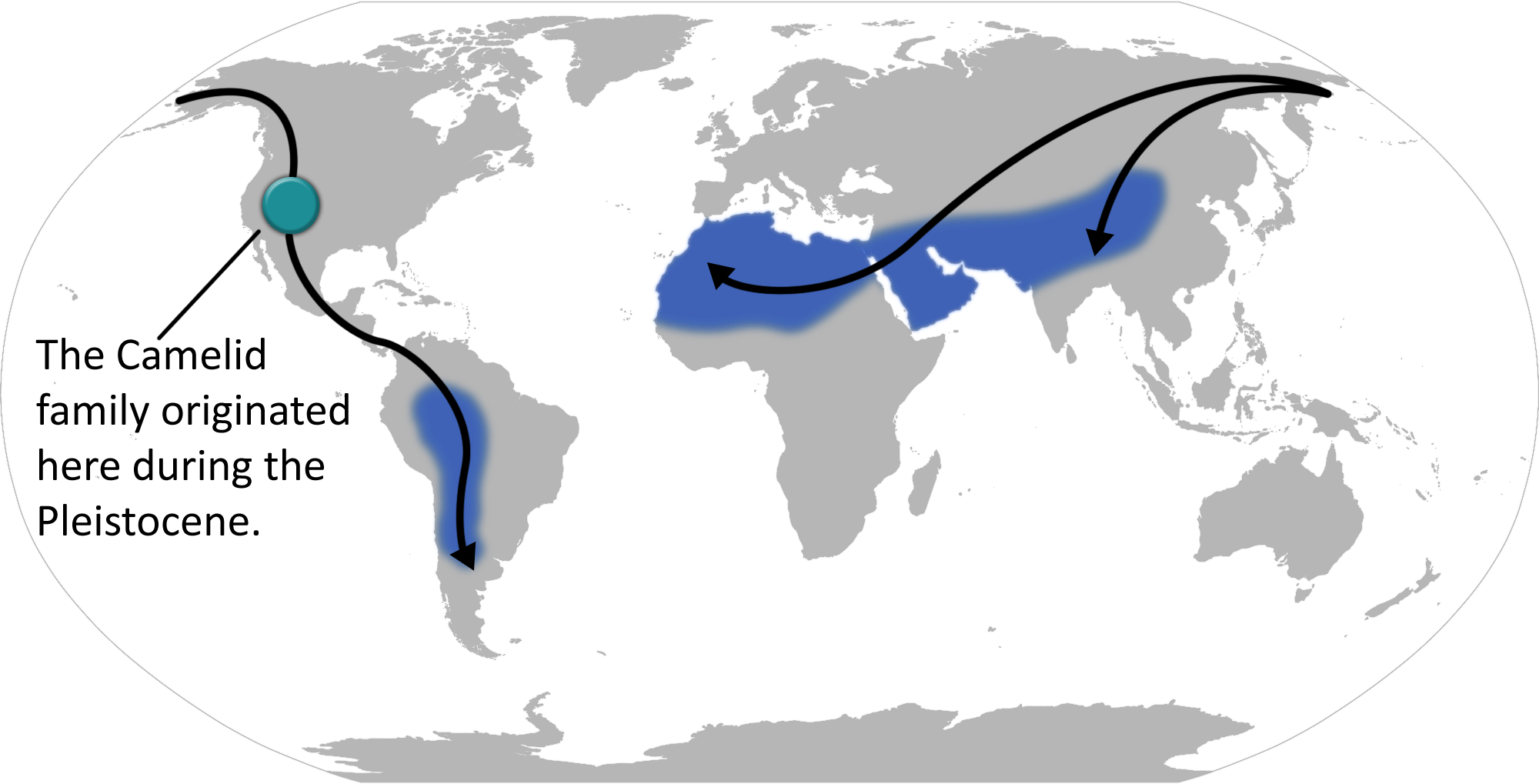 http://upload.wikimedia.org/wikipedia/commons/1/16/Camelid_locations_and_migration.png