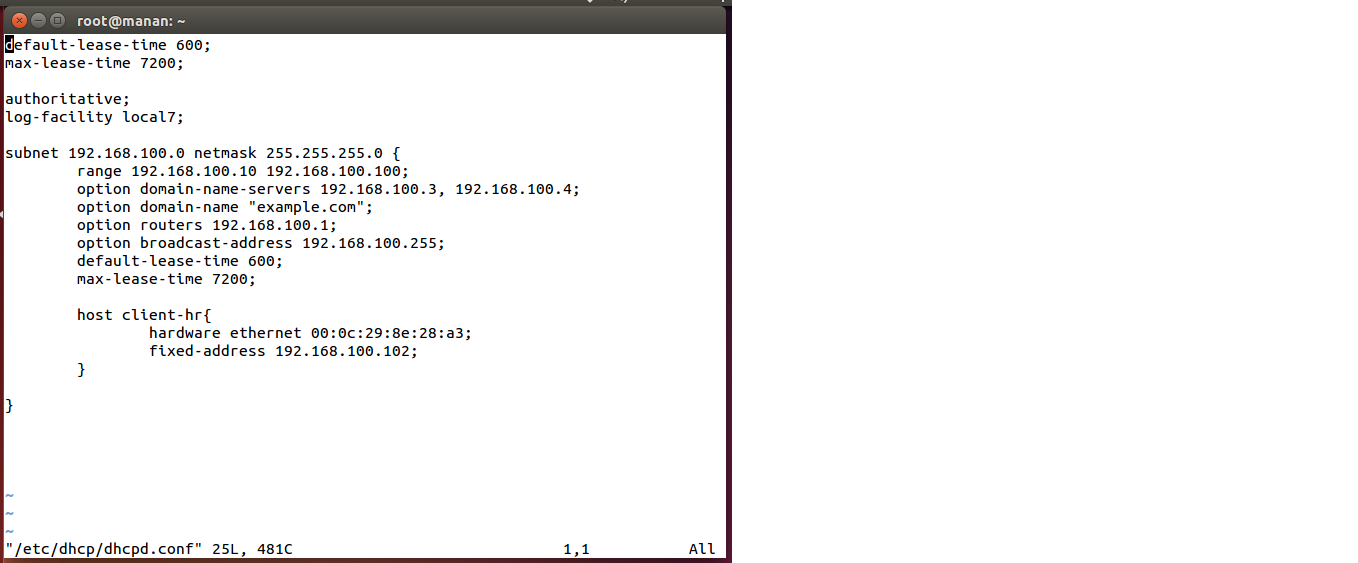 DHCP configuration file