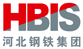 logo de HBIS Group