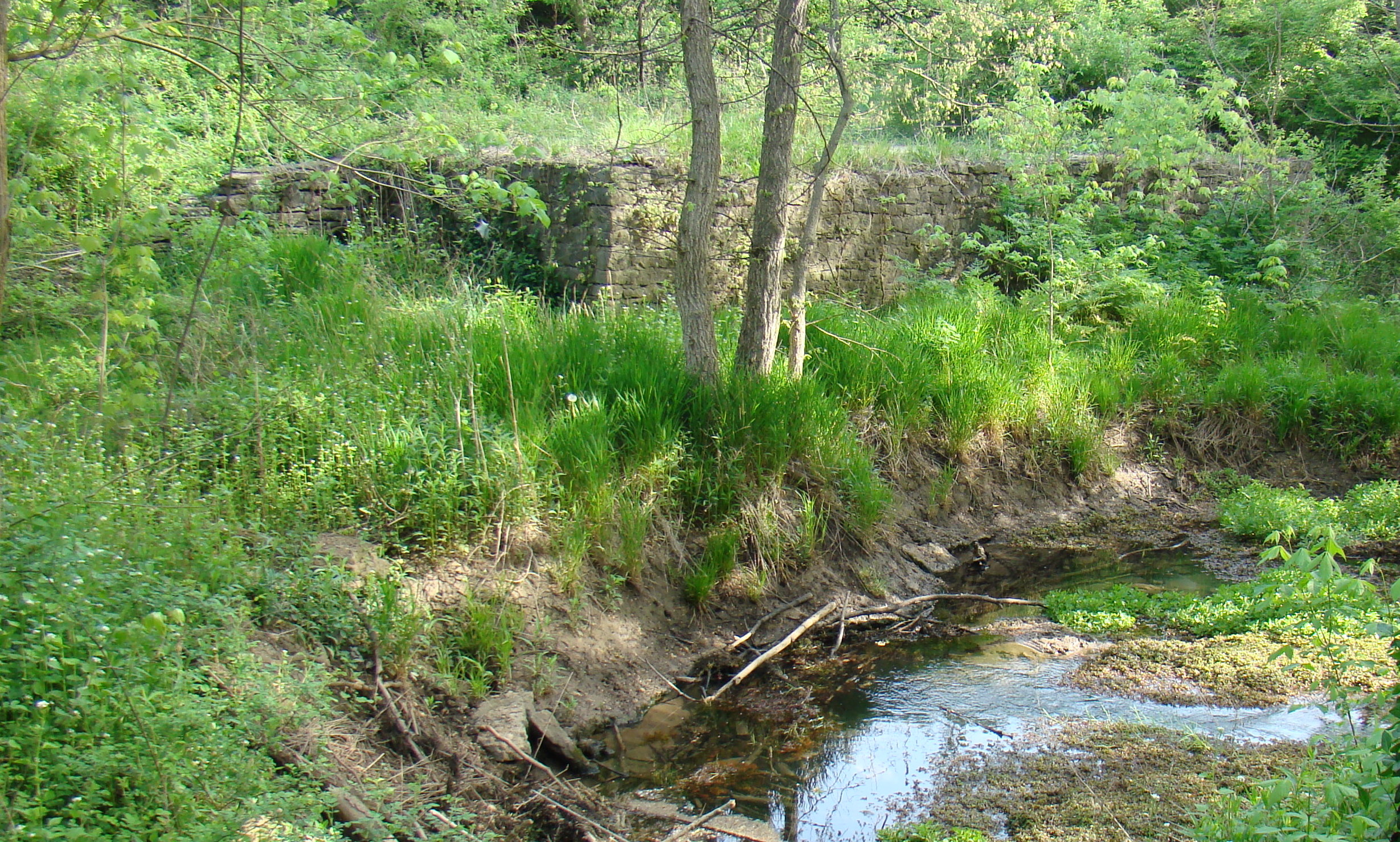 http://upload.wikimedia.org/wikipedia/commons/1/16/McConnell_Springs%2C_building_foundation_ruins.jpg